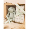 Set regalo bebé – Manta + Peluche